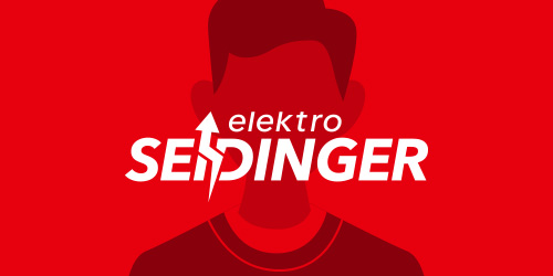Seidinger_Profilbild_2-1